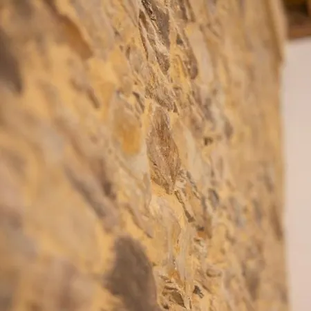 Rurales Casa Carlota